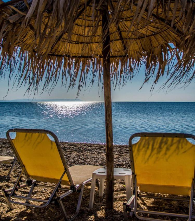 Philoxenia Beach Apartment